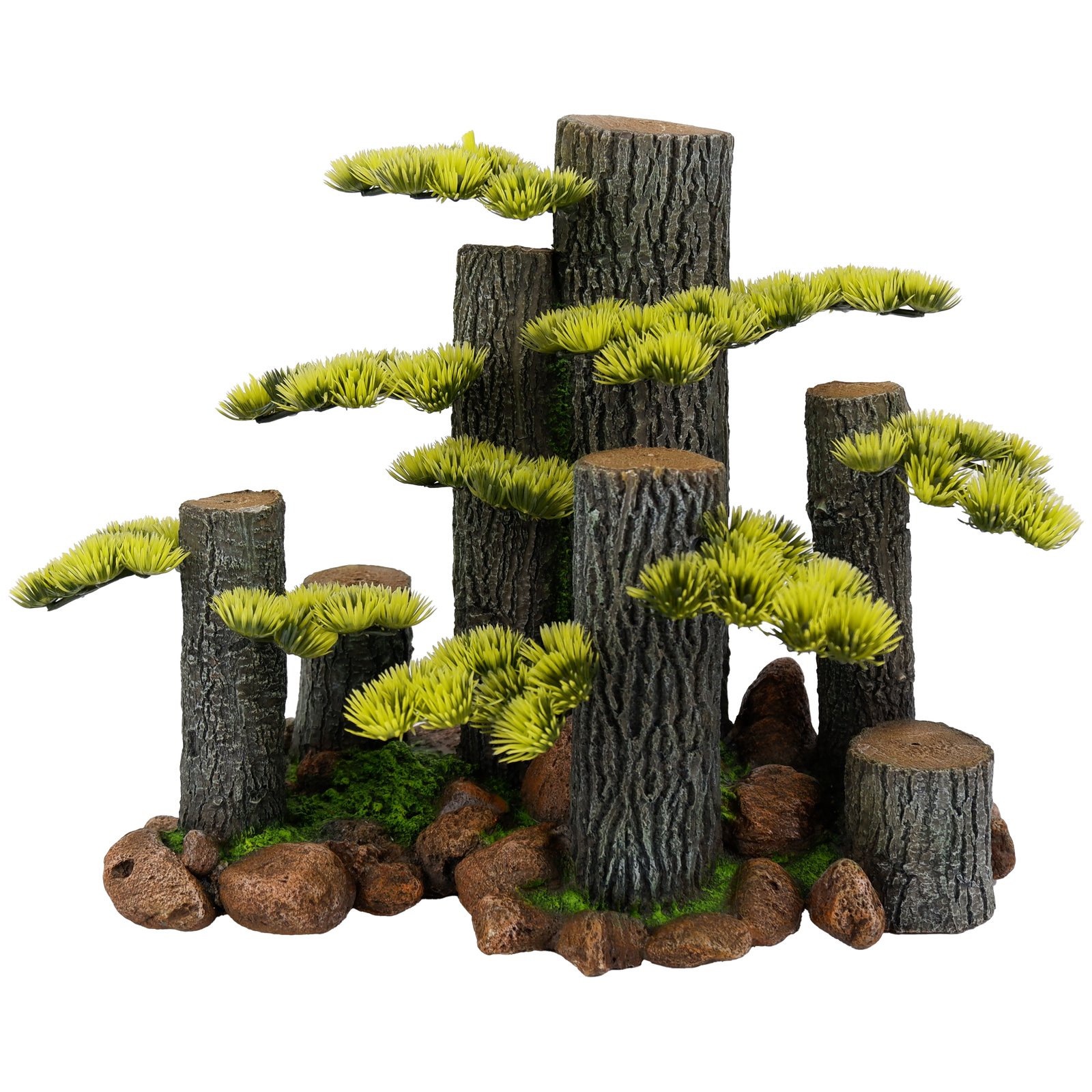 Tree Stump (L) with Plants