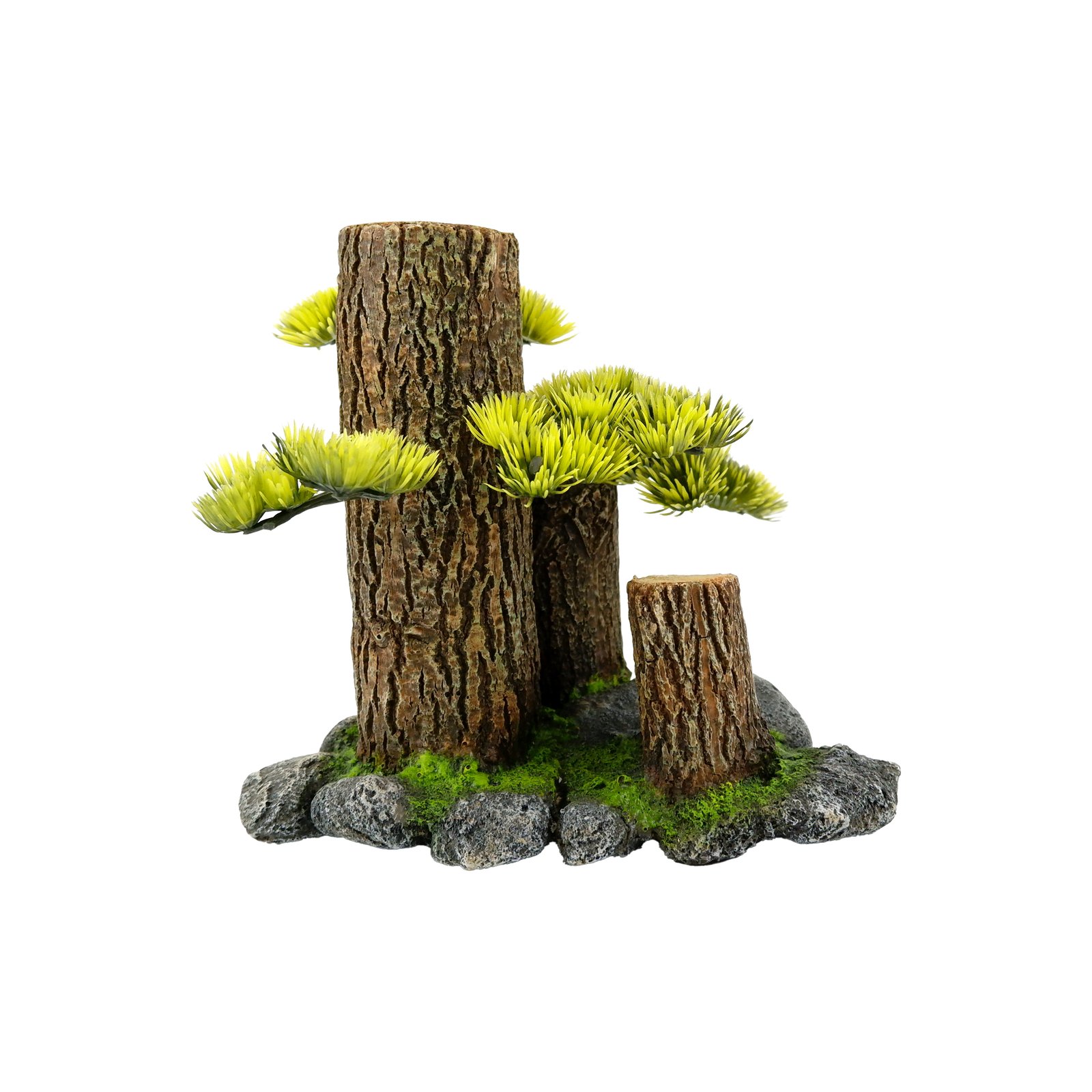 Tree Stump (S) with Plants