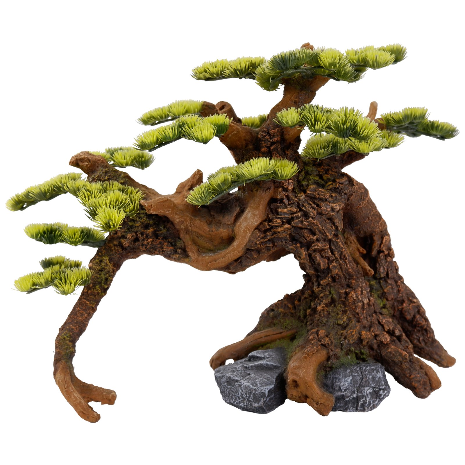 Bonsai