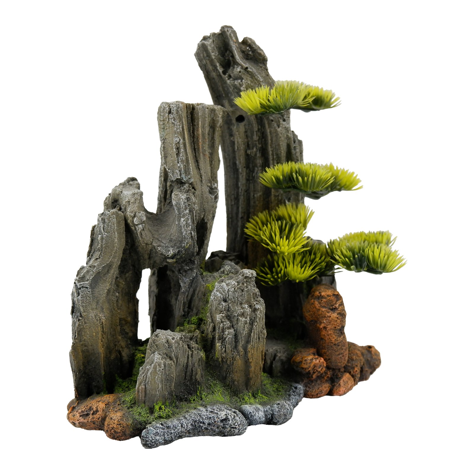 Stone with Plants