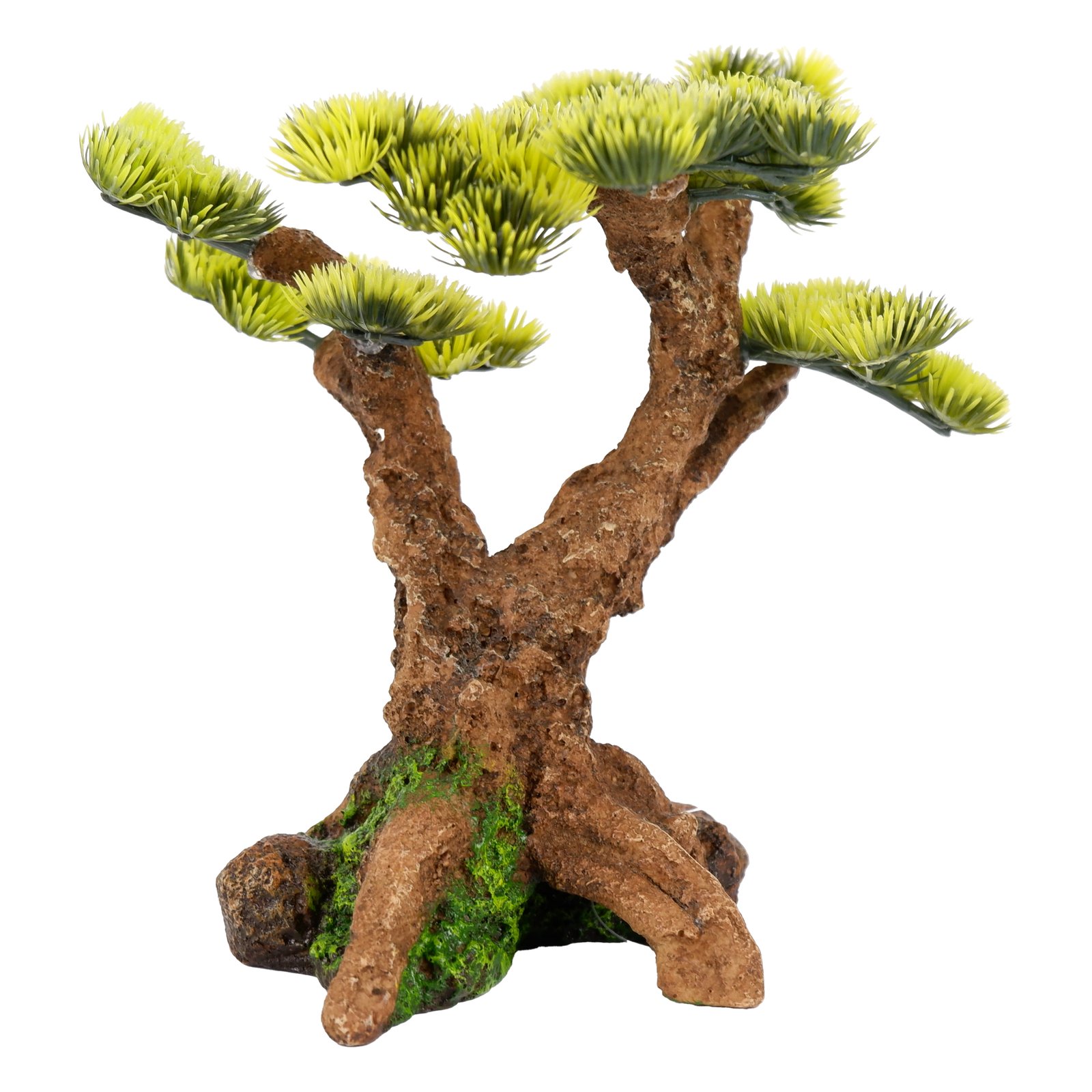 Flowering Bonsai Tree