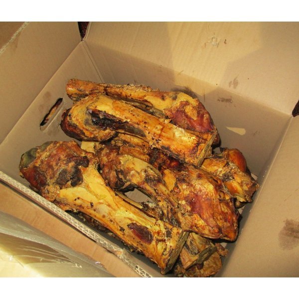 DINOSAUR (WHOLE) BONES PACK OF 8