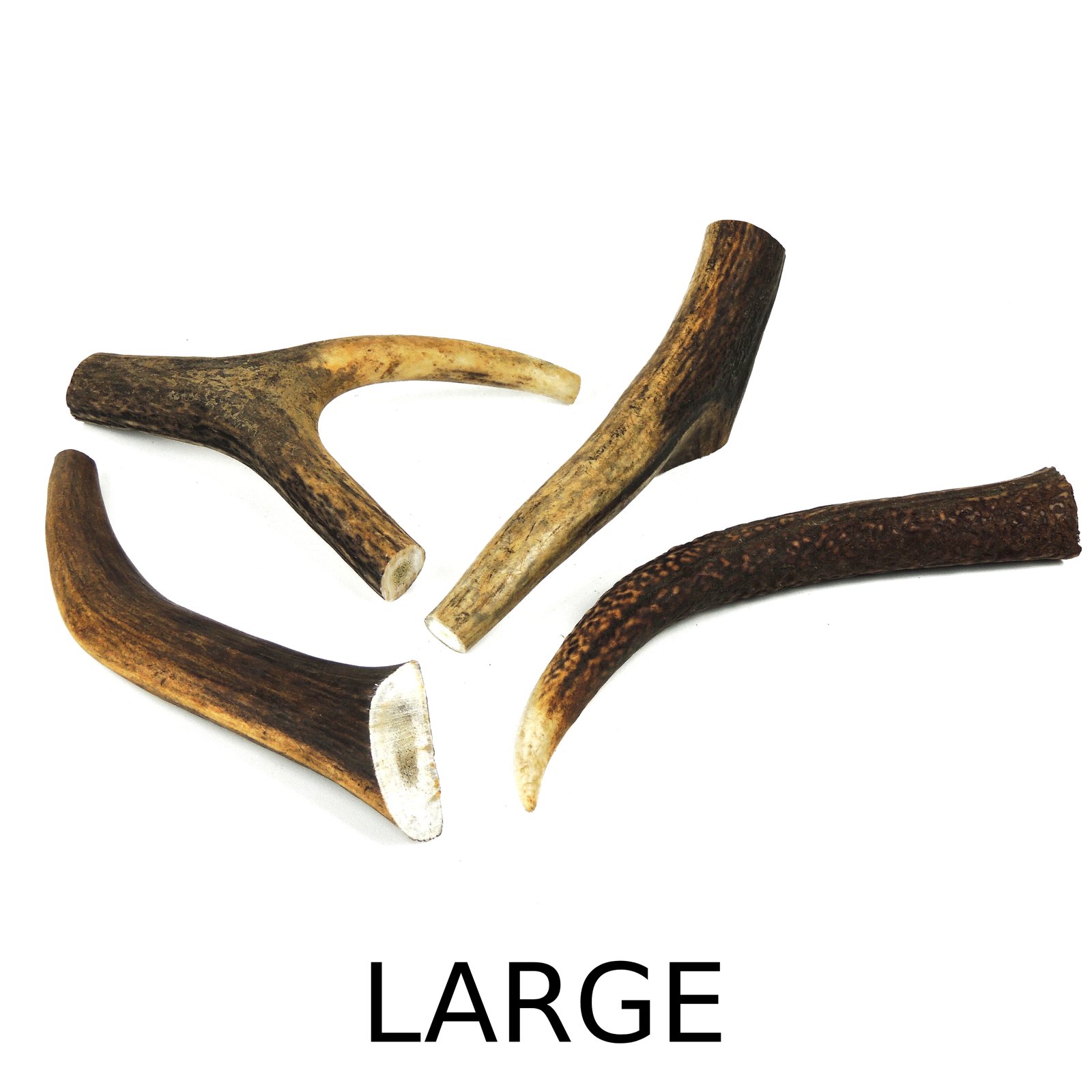 Antler Large - 100 to 150g approx 5 inches (13cm)