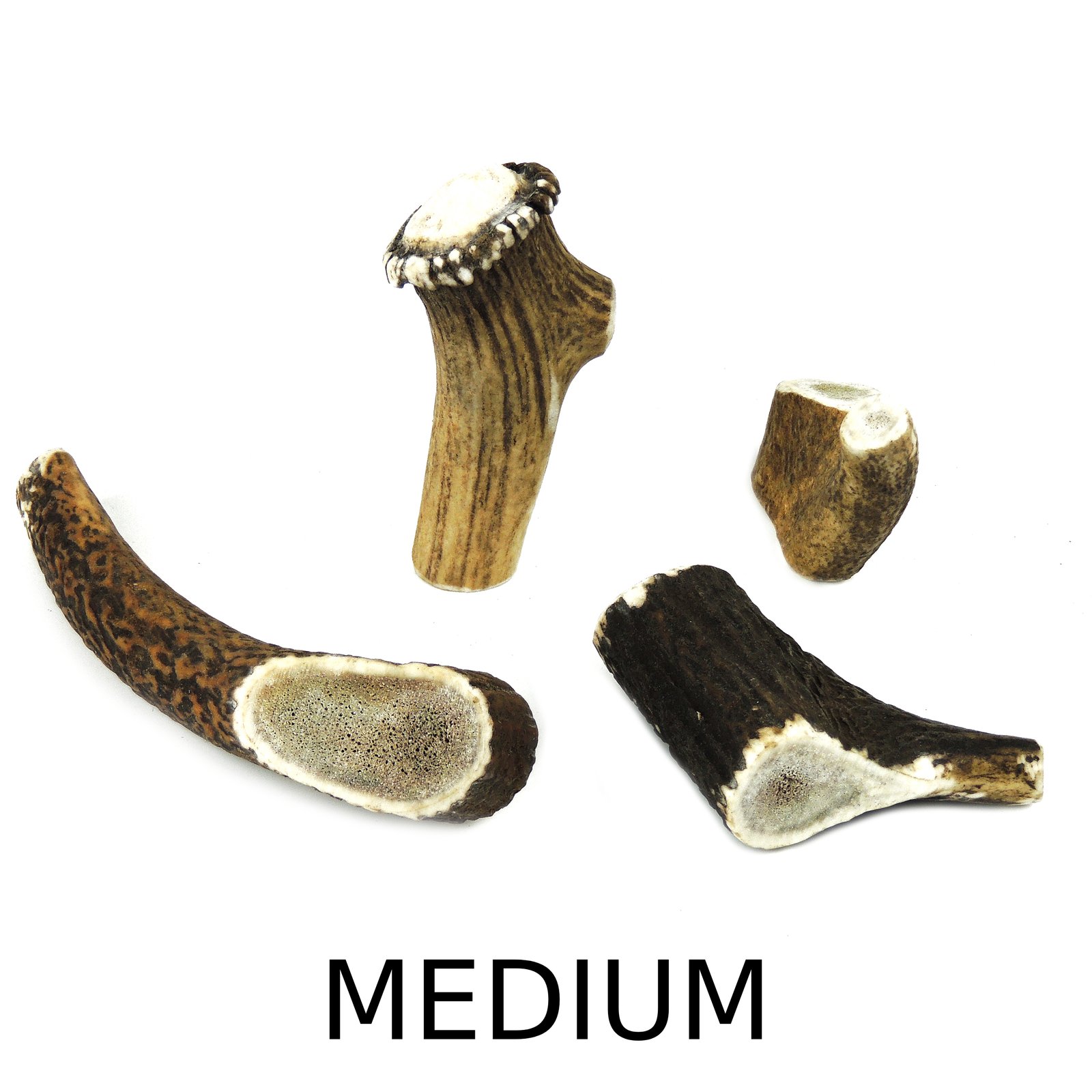 Antler Medium - 50 to 100g approx 4 inches (10cm)