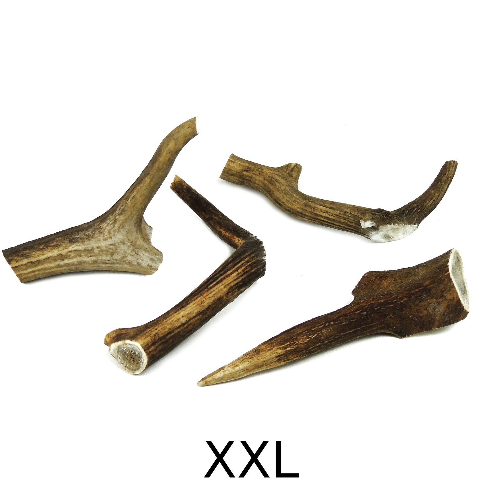 Antler XXL - 200 to 250g approx 7 inches (19cm)