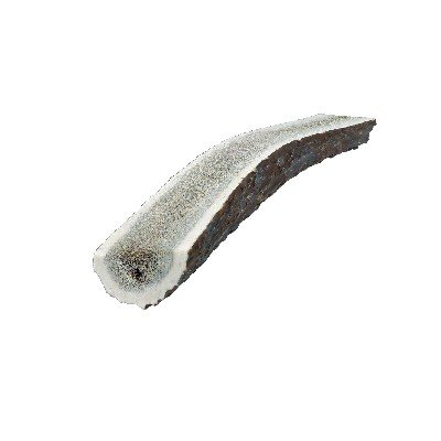 Split Antler Large - 100 to 150g approx 5 inches (13cm)